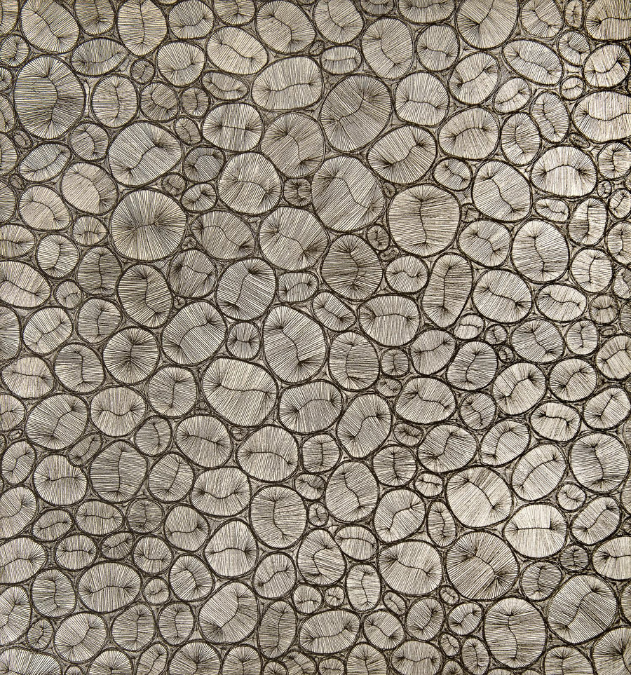 conchitas, 2009